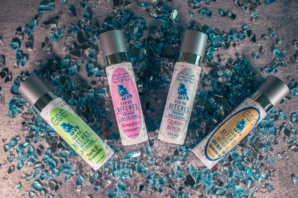 Why Do Dog Groomers Use Cologne?