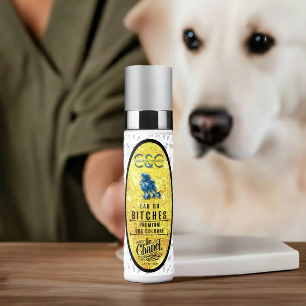 Can Dog Scent Sprays Help with Odor Neutralization?