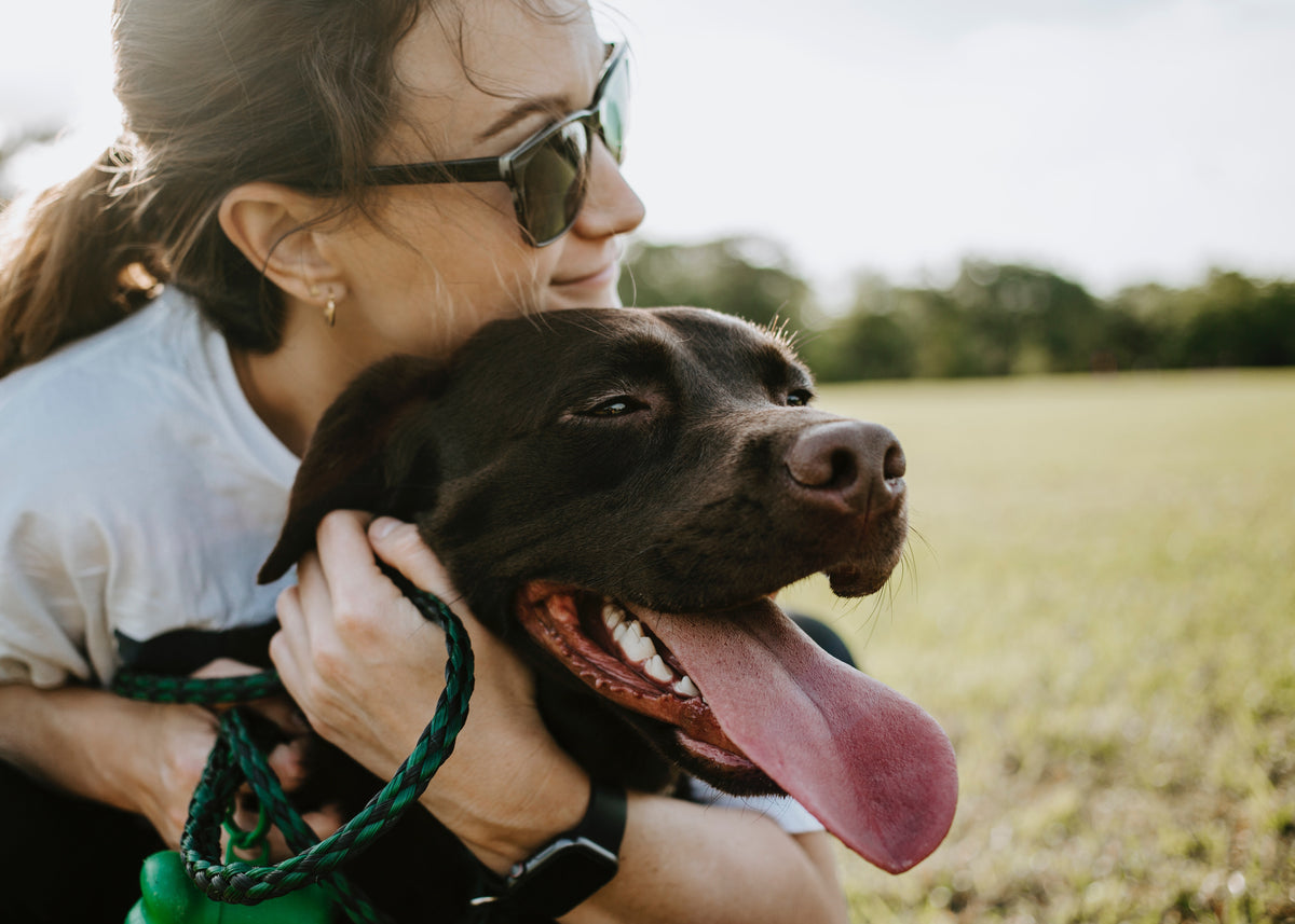 Woman hugging a chocolate lab outdoors