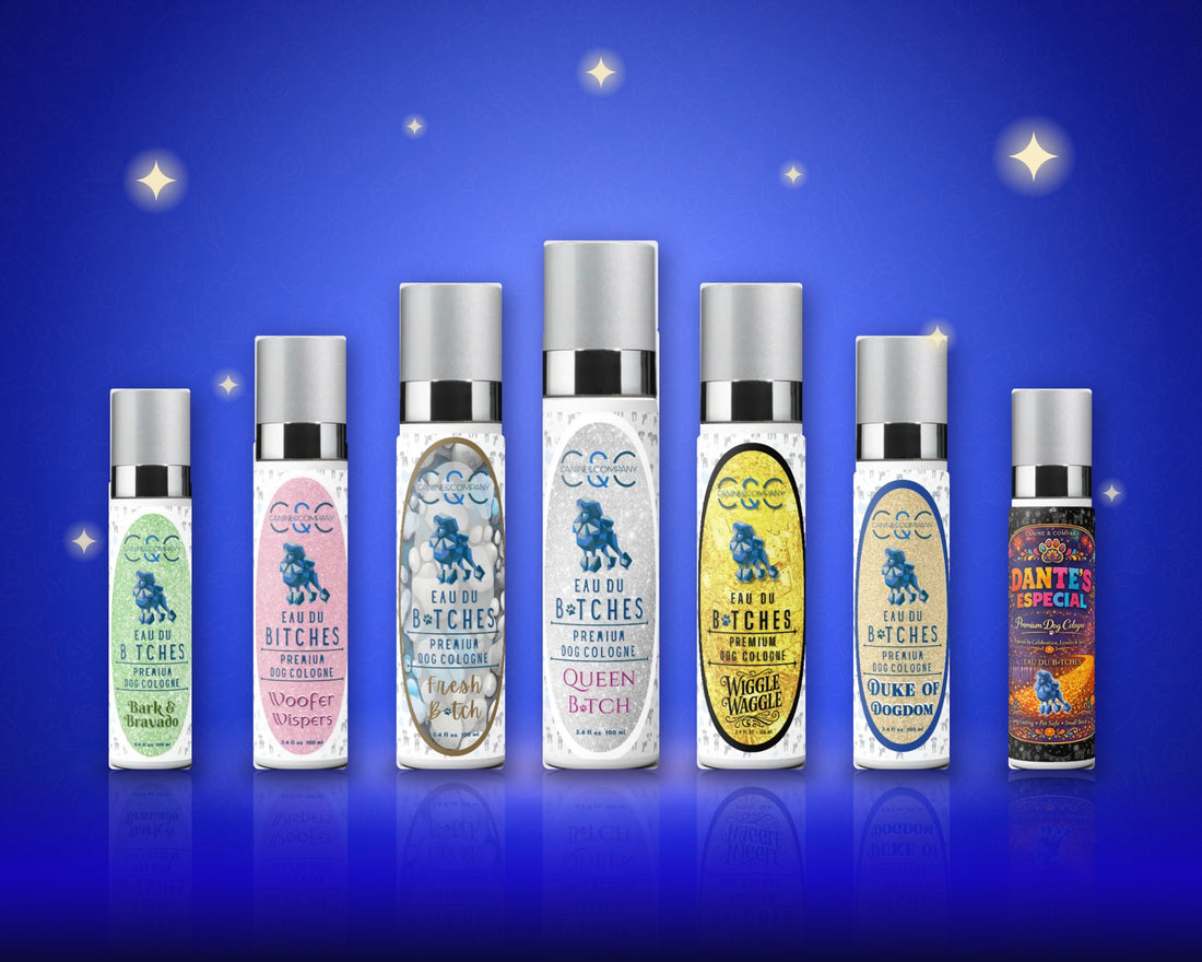 The seven Eau Du Bitches premium dog colognes lined up on a royal blue stage