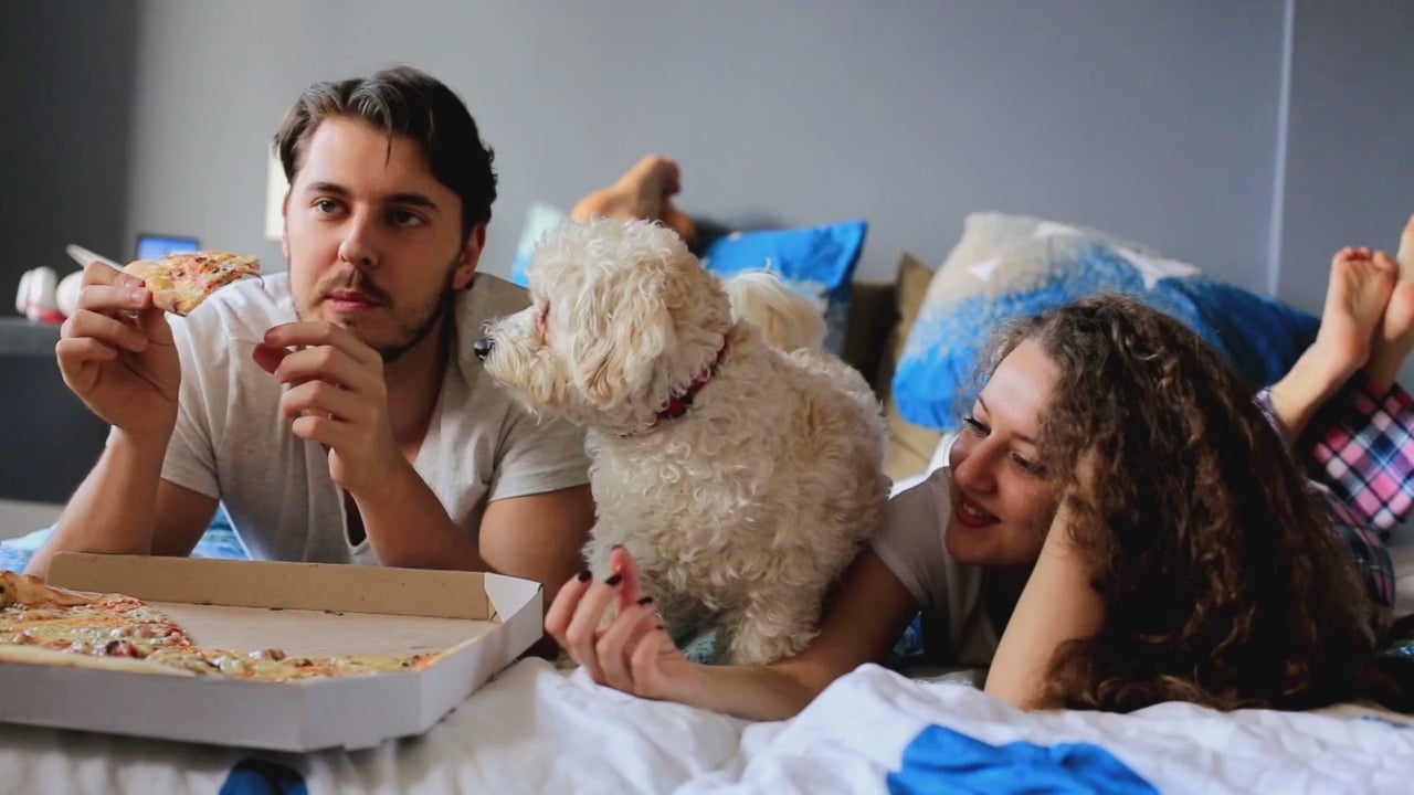 A couple sharing pizza with their fluffy white dog